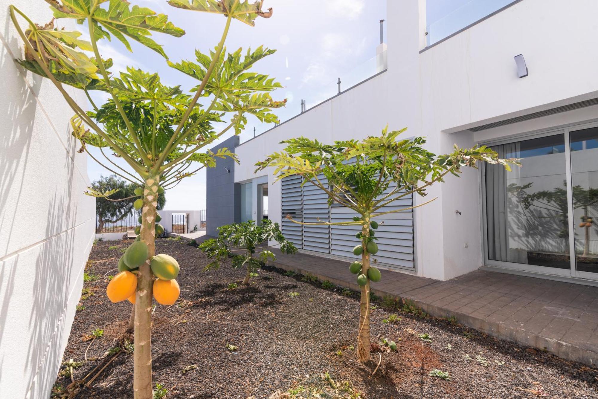 House Near The Beach W Sea View Arico エクステリア 写真